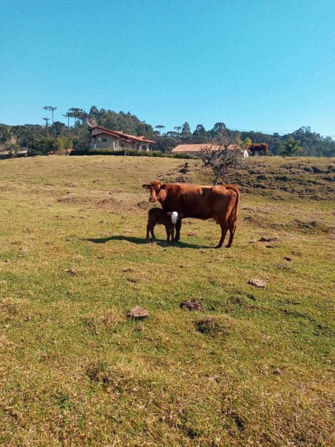 Pousada Landhaus Urubici Dış mekan fotoğraf